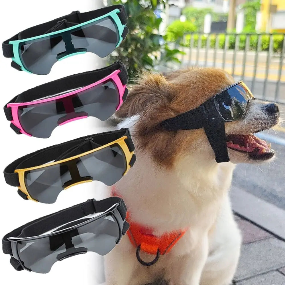 Lunettes de Soleil Ajustables pour Chiens de Petite Taille