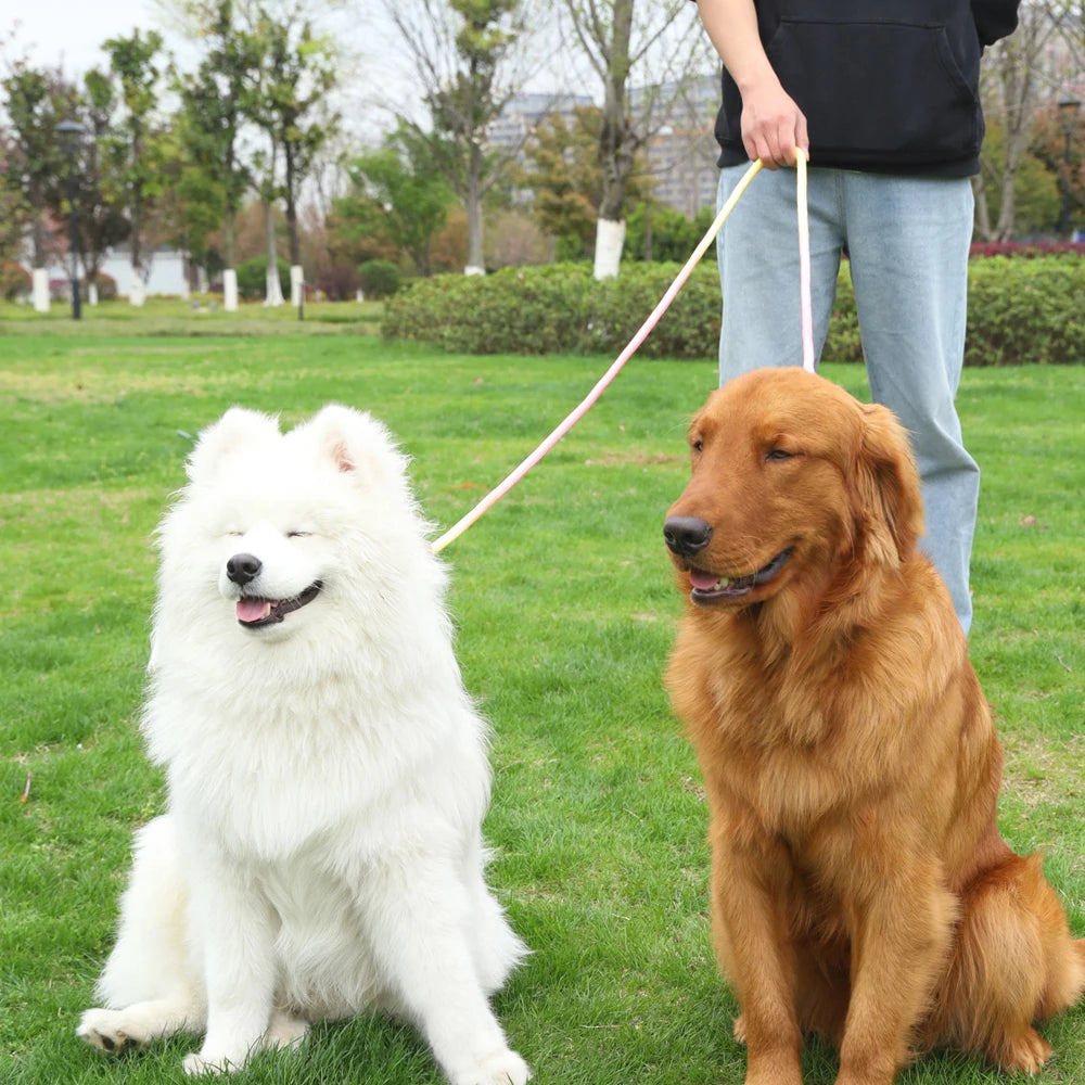 Laisse Corde Mains Libres Pastel pour Chien