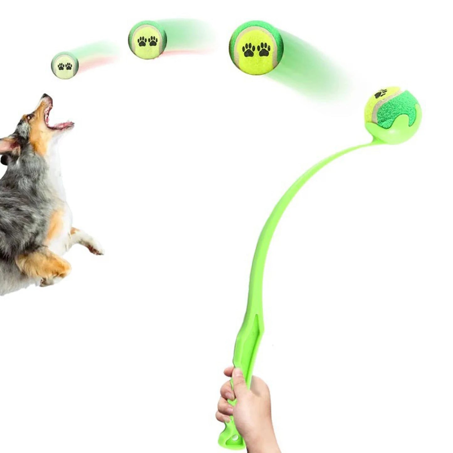 Lanceur de Balle de Tennis pour Chiens