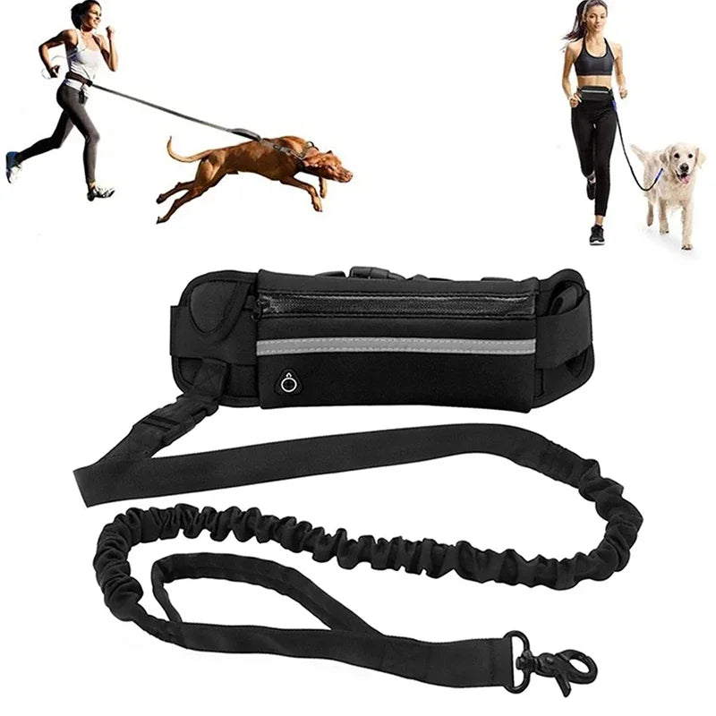 2 en 1 Laisse Mains Libres avec Sacoche Sportive pour Chien
