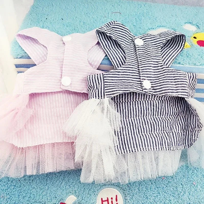 Robe Tutu Noeud Papillon pour Chiennes et Chiots Élégants
