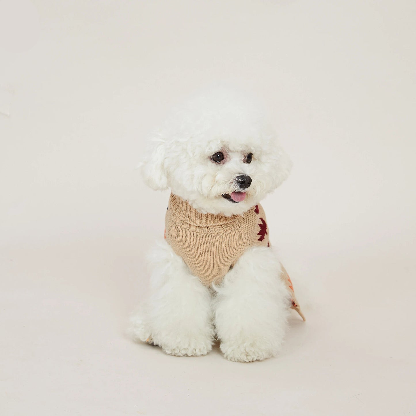 Pull Feuilles d'Érable Automne pour Chien avec Trou pour Laisse