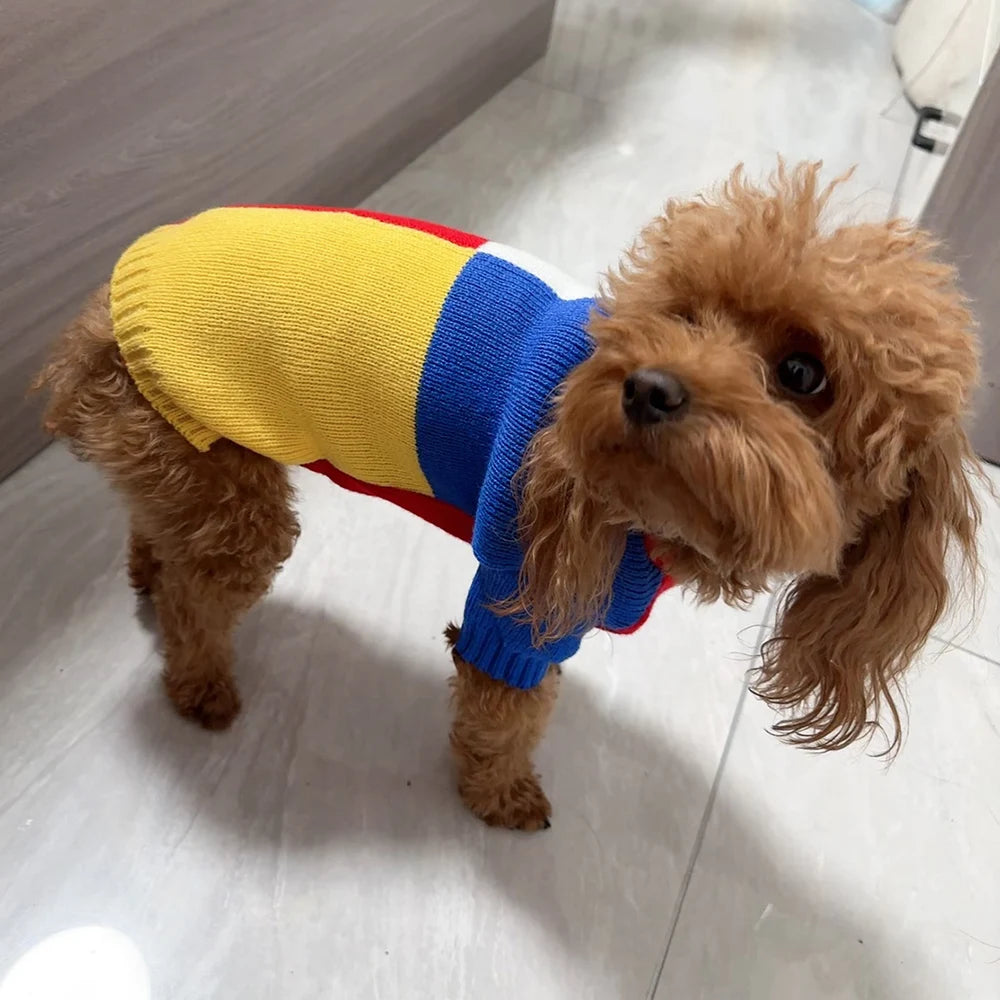 Pull Coloré à Carreaux pour Chien ou Chat