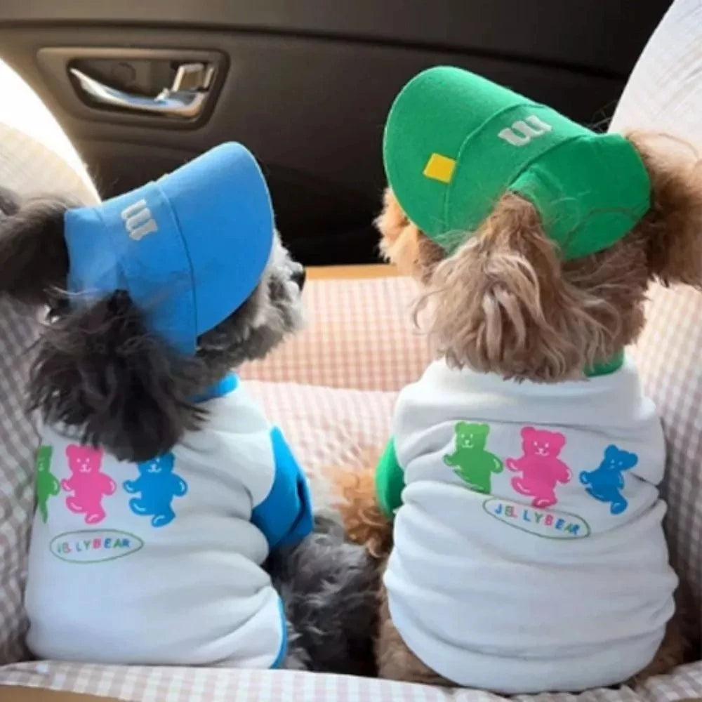 Casquette M pour Chiens et Chats – Casquette Été Ajustable à Motif Brodé
