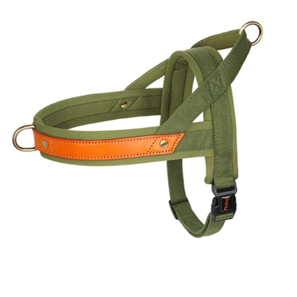 Harnais en Y Confort Anti-traction pour Chien
