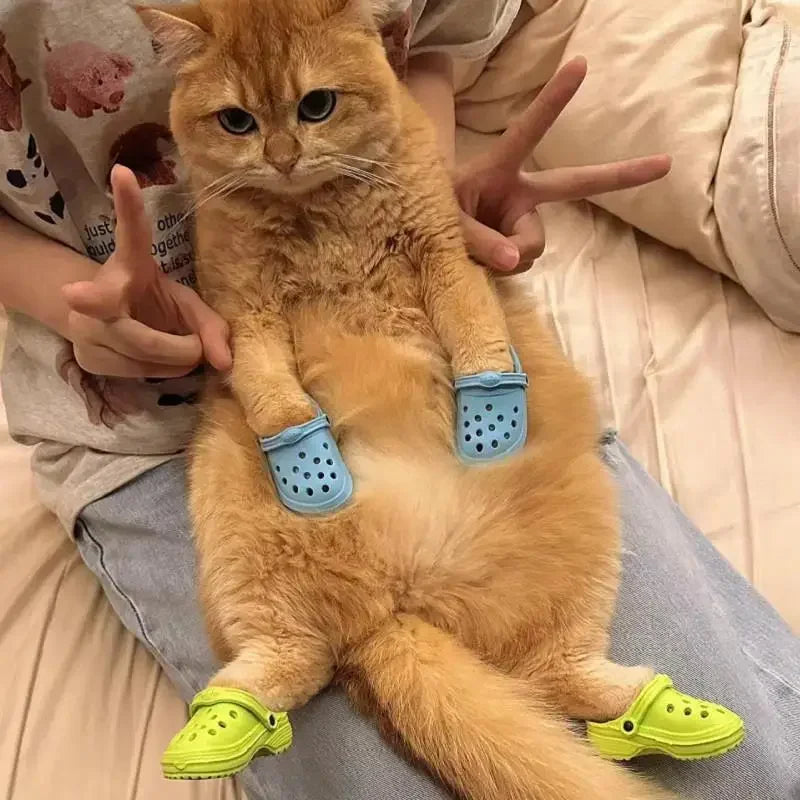 Crocs Trouées Antidérapantes pour Chiens et Chats (Lot de 2)