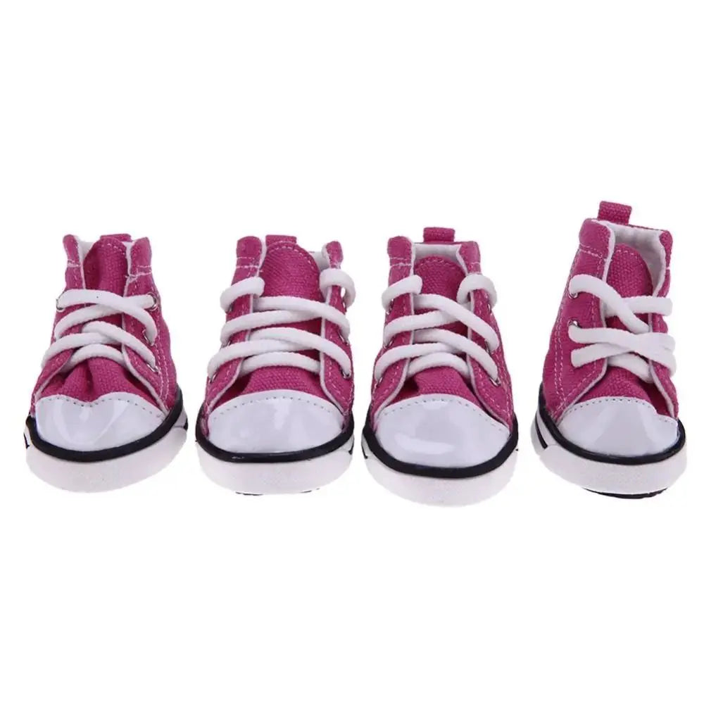 Chaussures All Star Été Antidérapantes pour Chiens