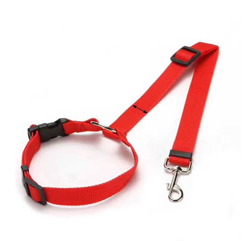Ceinture de Sécurité & Laisse Voiture pour Chien