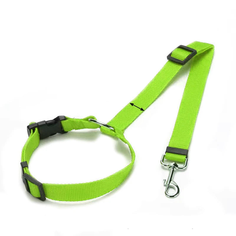 Ceinture de Sécurité & Laisse Voiture pour Chien