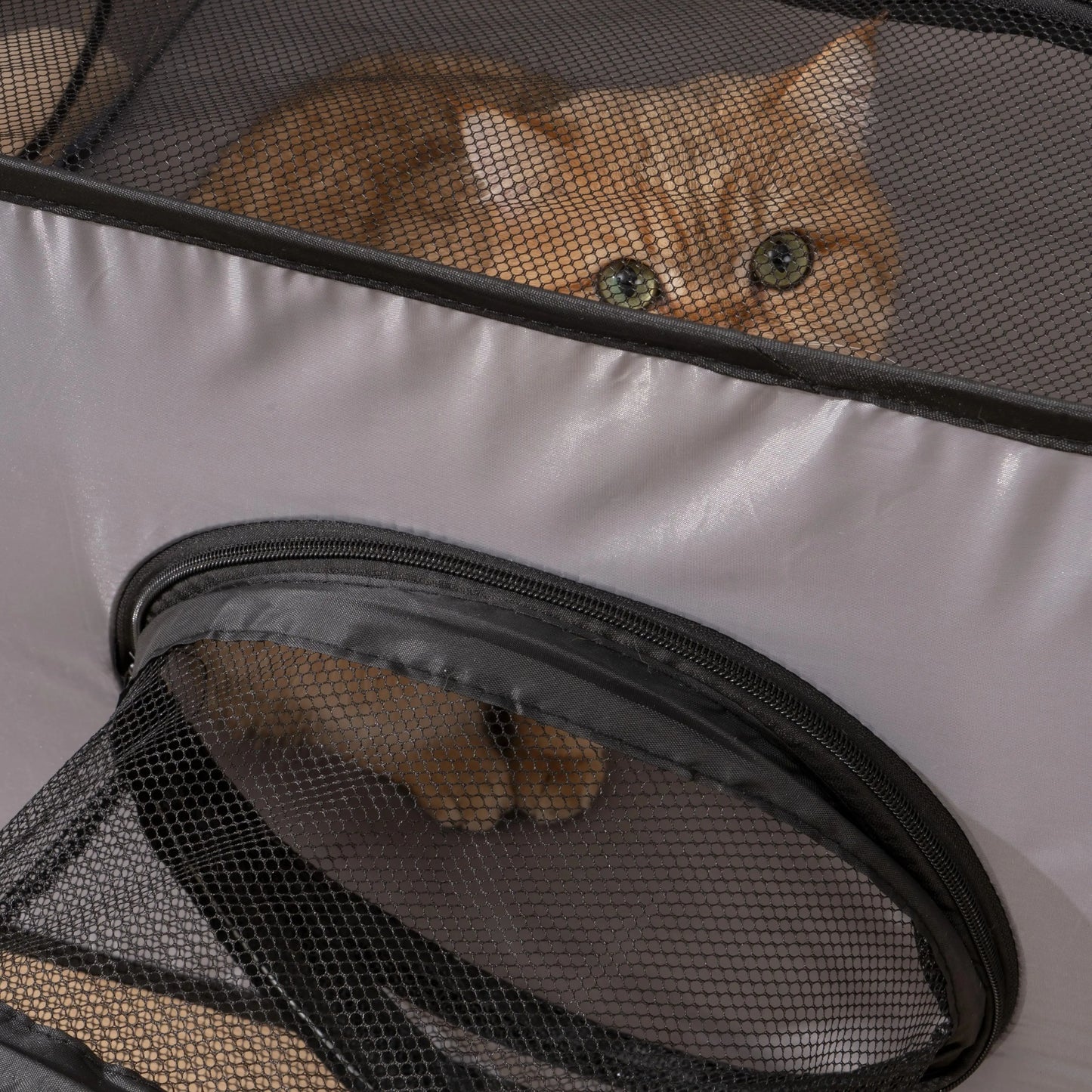 Enclos Pliable avec Tunnel pour Chats et Petits Chiens