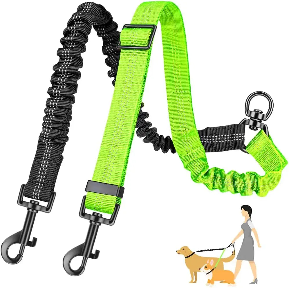 Rallonge Double Réglable & Élastique ColorDuo pour Laisse Chien
