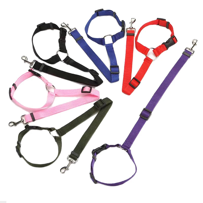Ceinture de Sécurité & Laisse Voiture pour Chien