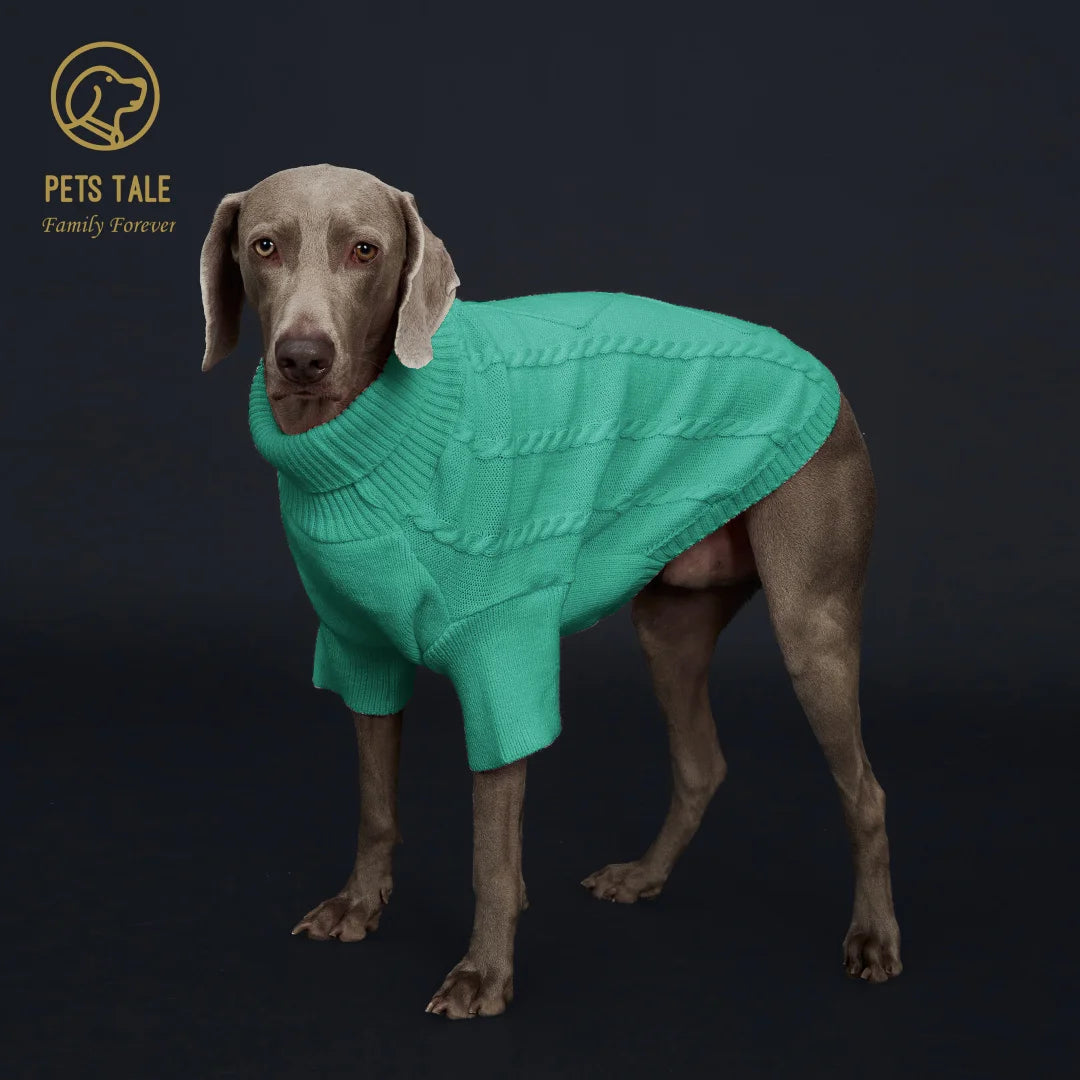 Pull Côtelé à Manches pour Chien – Tricot à Torsades et Fente Harnais