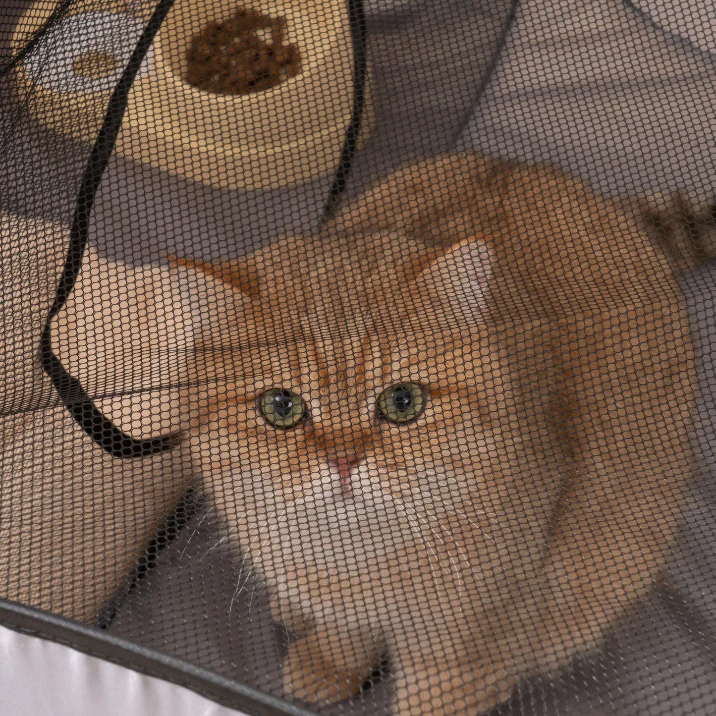 Enclos Pliable avec Tunnel pour Chats et Petits Chiens
