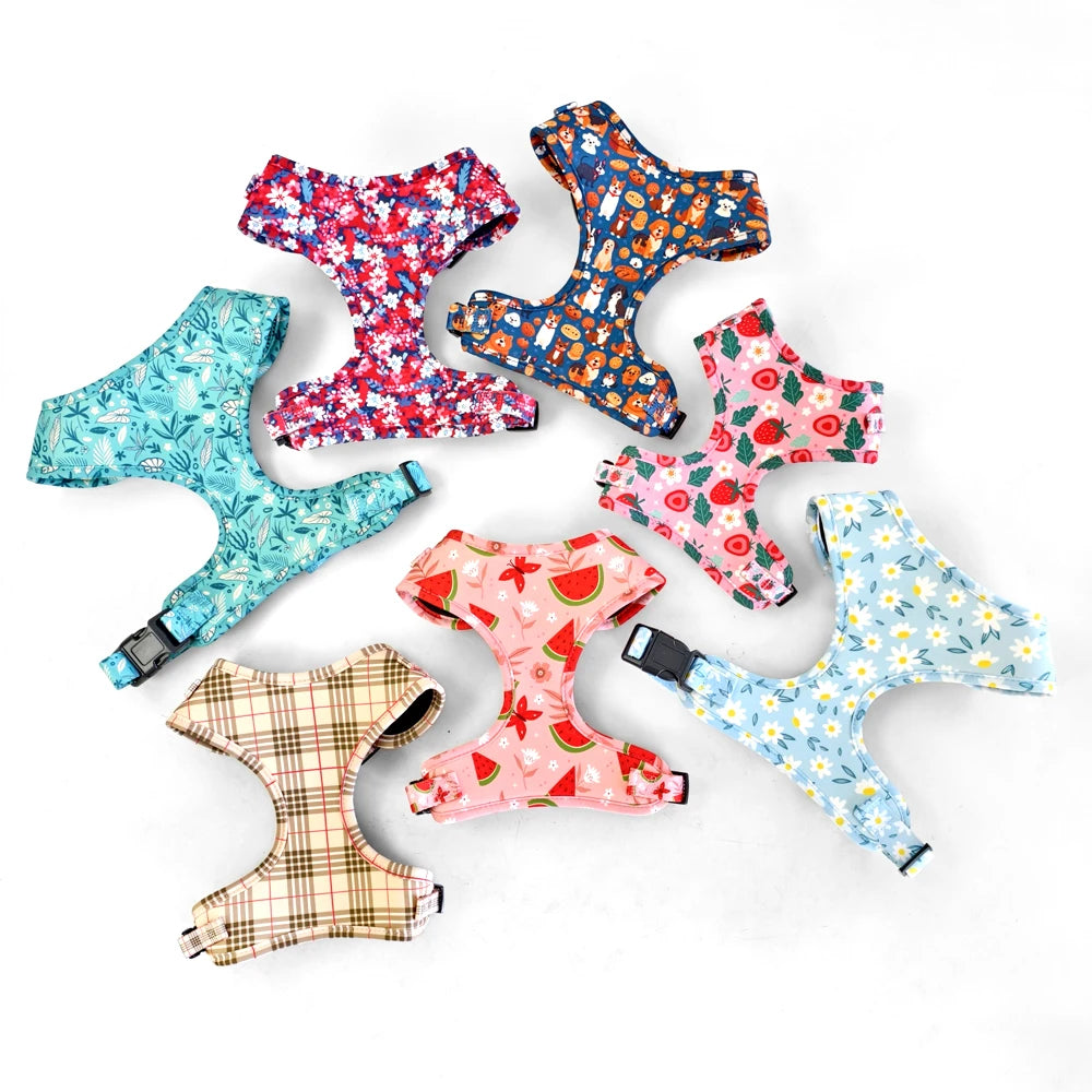 Pack 4-en-1 Harnais et accessoires pour Petit Chien