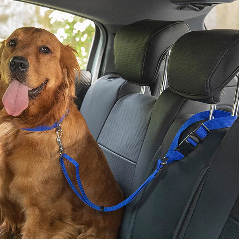 Ceinture de Sécurité & Laisse Voiture pour Chien
