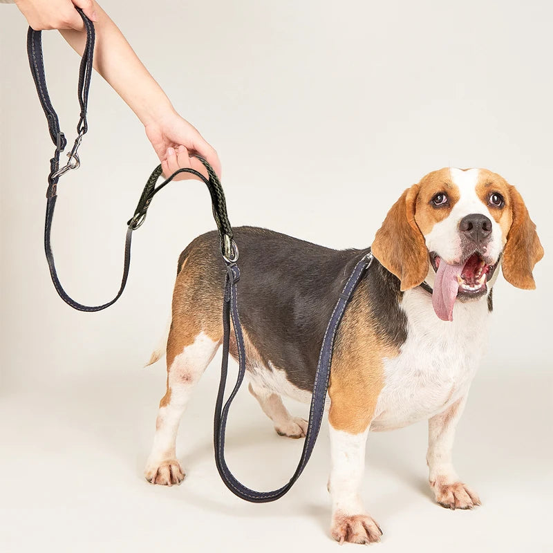 2 en 1 Laisse Multifonctions Double ou Solo Mains libre pour Chien