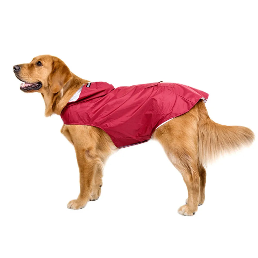 Poncho Imperméable Réfléchissant pour Chien toutes Tailles