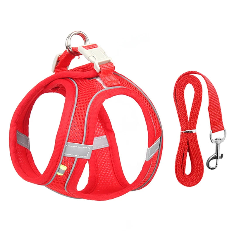 2 en 1 Harnais Réfléchissant + Laisse assortie pour Petit Chien