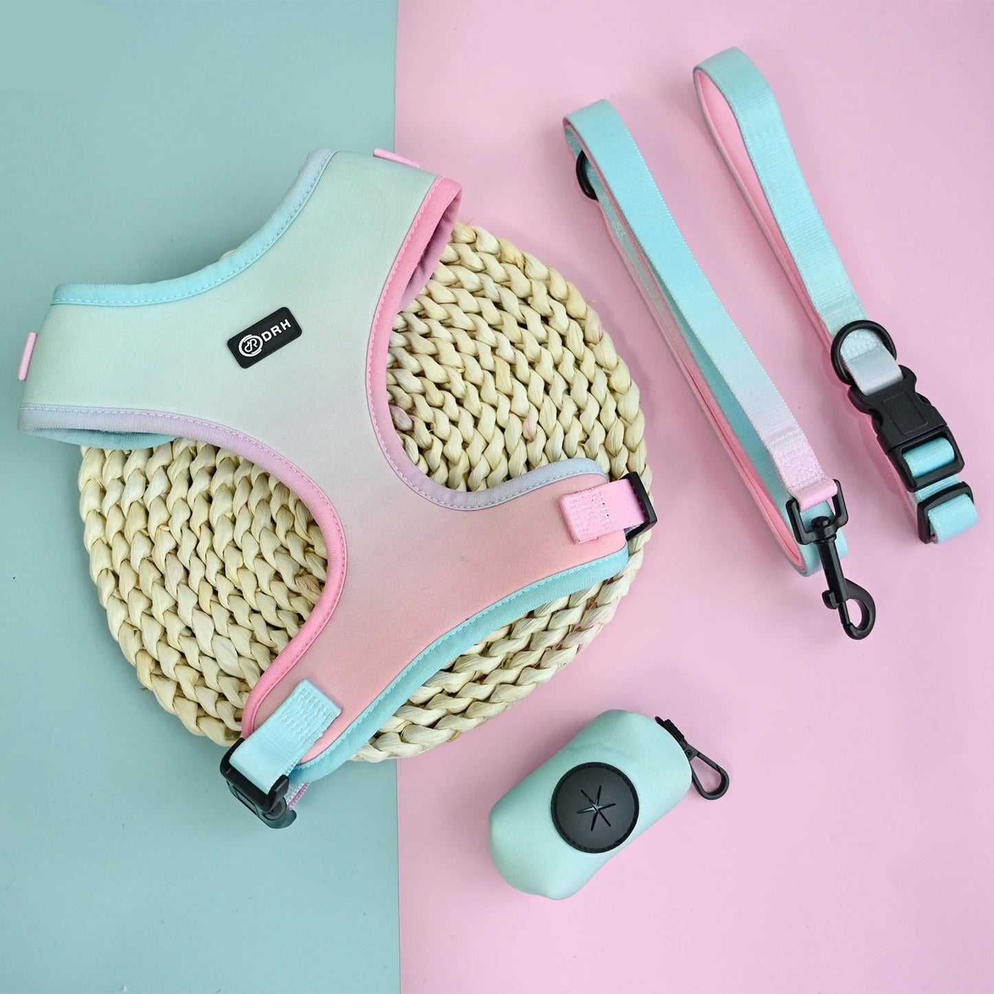 Pack 4-en-1 Harnais et accessoires pour Petit Chien