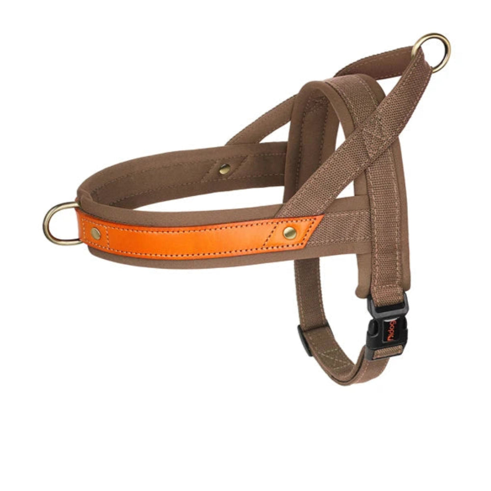 Harnais en Y Confort Anti-traction pour Chien