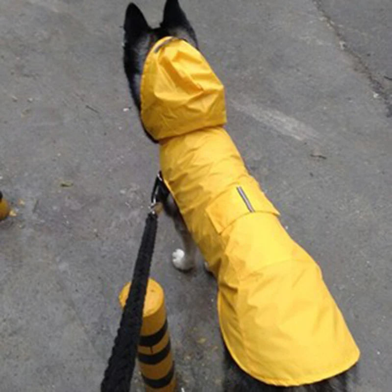Poncho Imperméable Réfléchissant pour Chien toutes Tailles