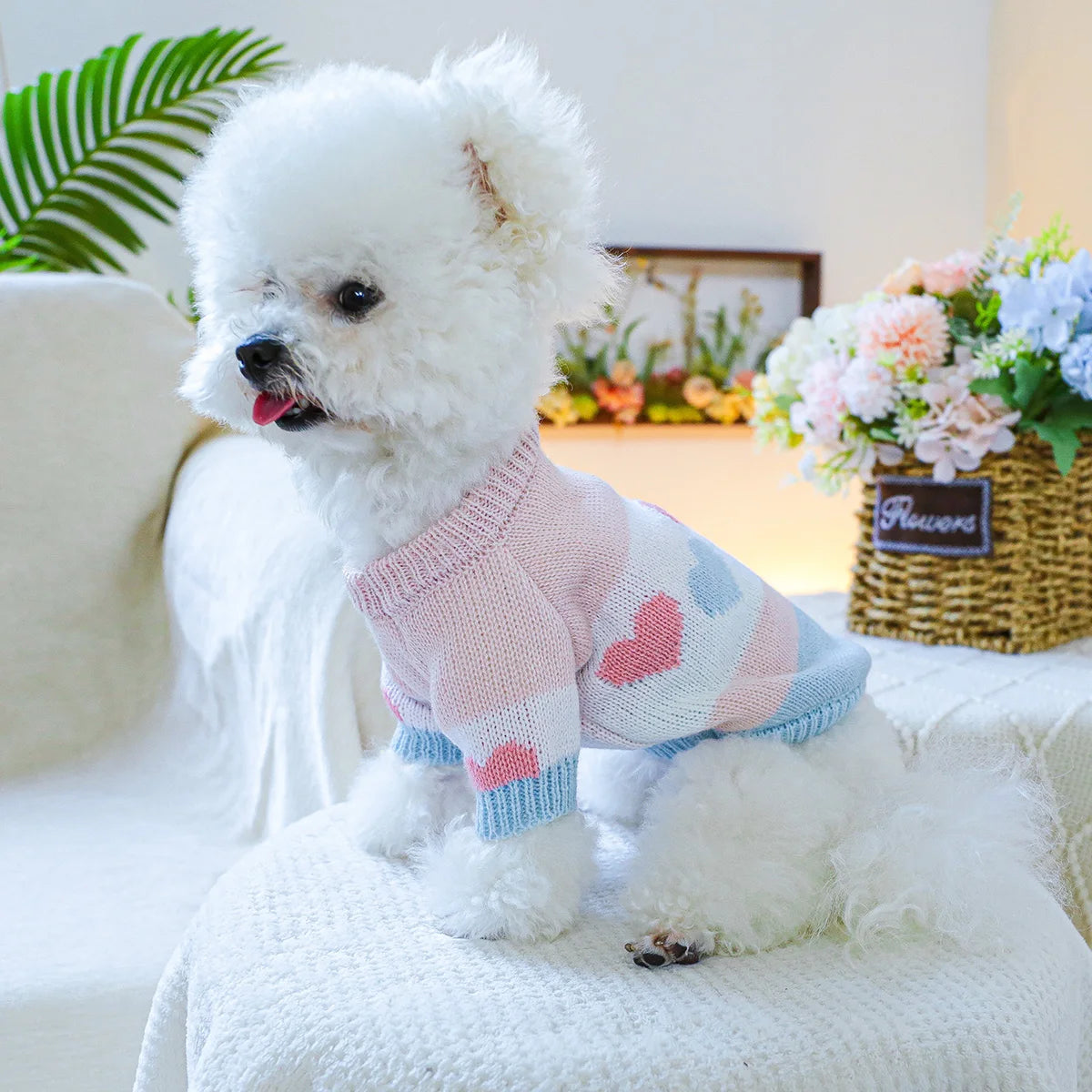 Pull Jacquard Rose et Bleu à Cœurs pour Petit Chien