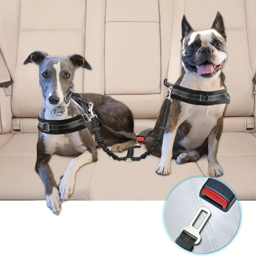 Double Ceinture de Sécurité Élastique Voiture pour Chien