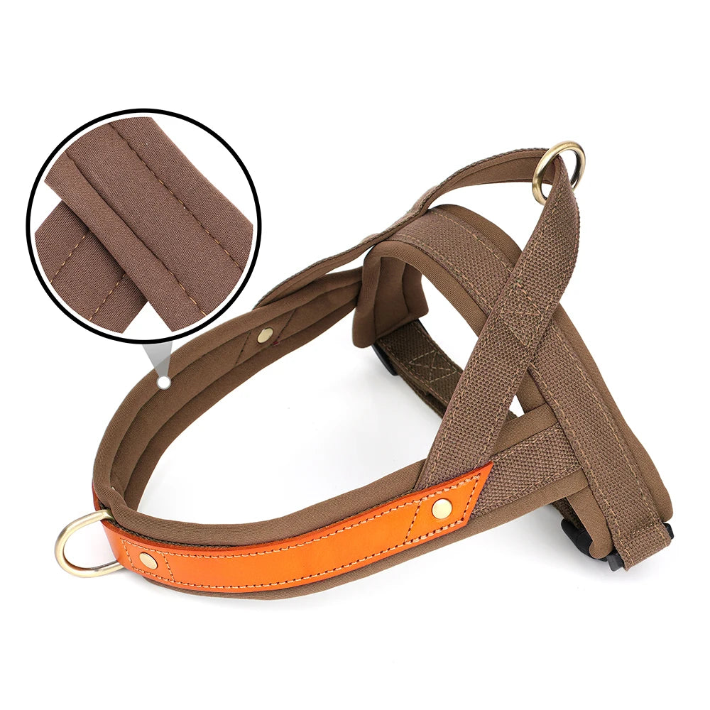 Harnais en Y Confort Anti-traction pour Chien