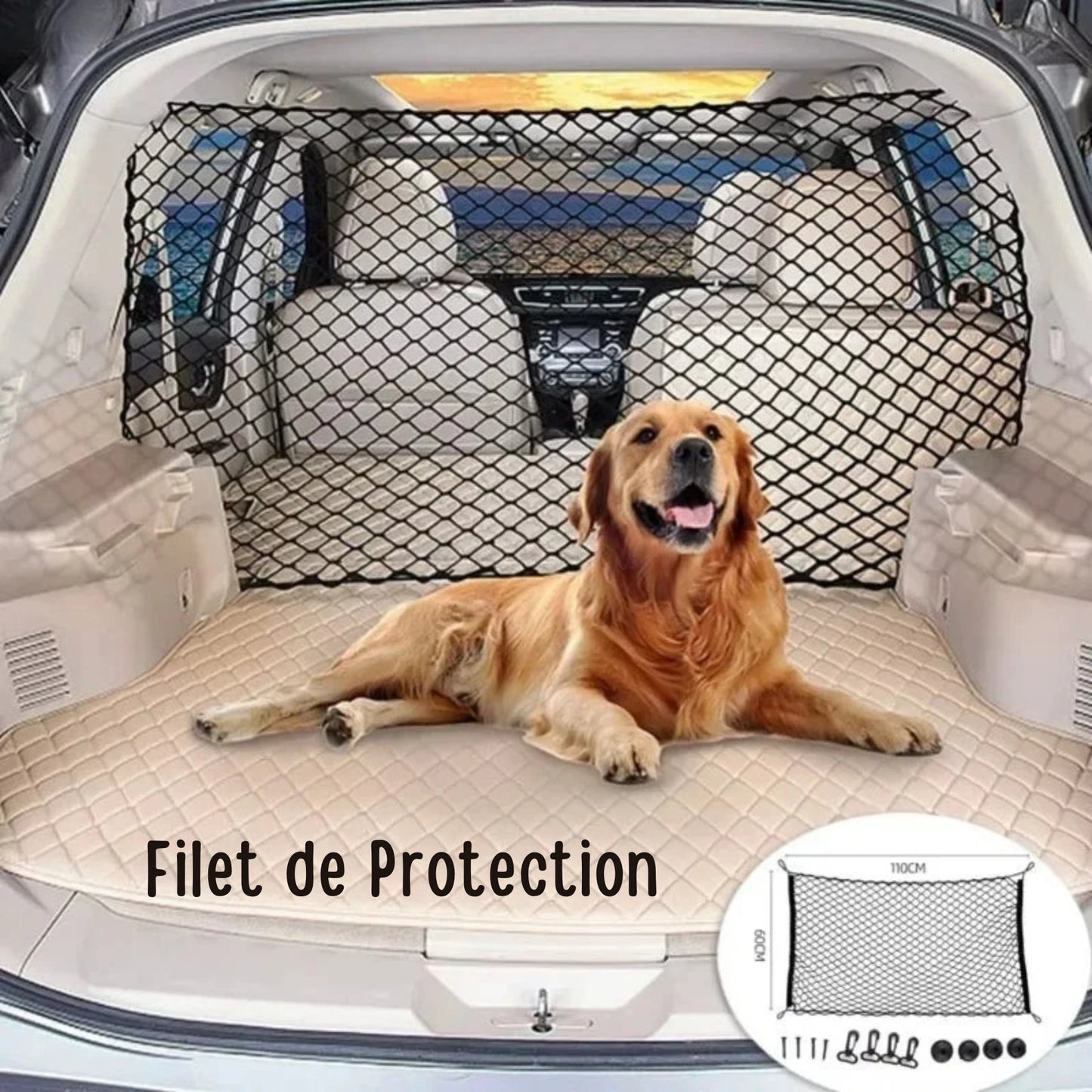 Filet de Protection Voiture pour Chien – Séparateur de Coffre Élastique