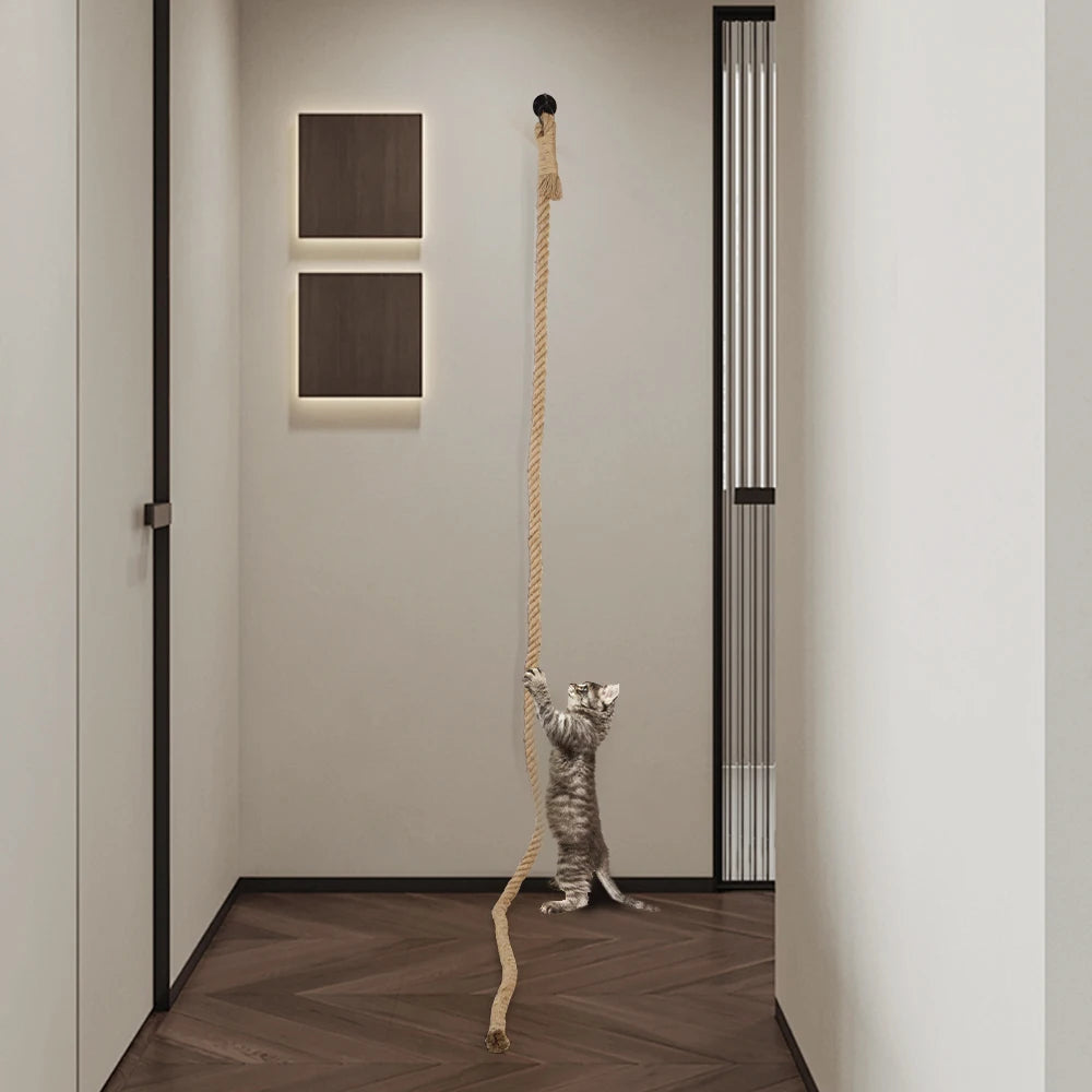 Corde à Grimper en Sisal pour Chats d’Intérieur