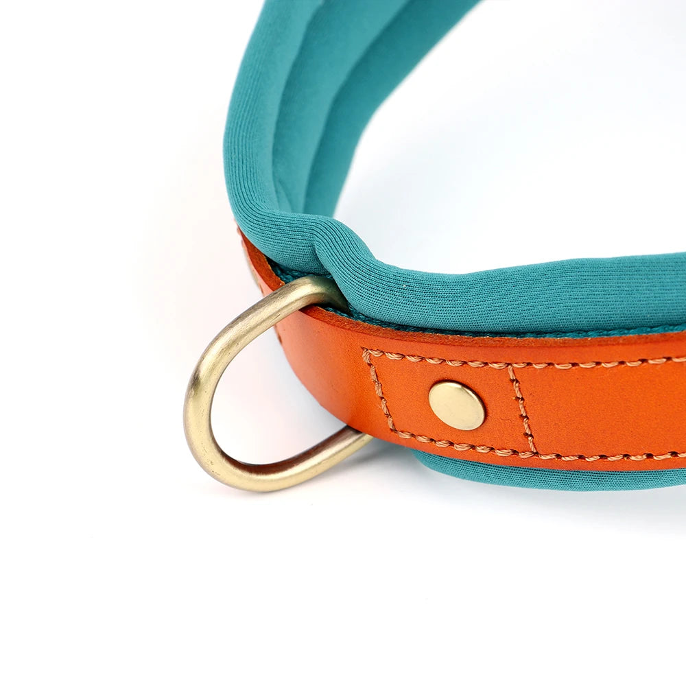 Harnais en Y Confort Anti-traction pour Chien