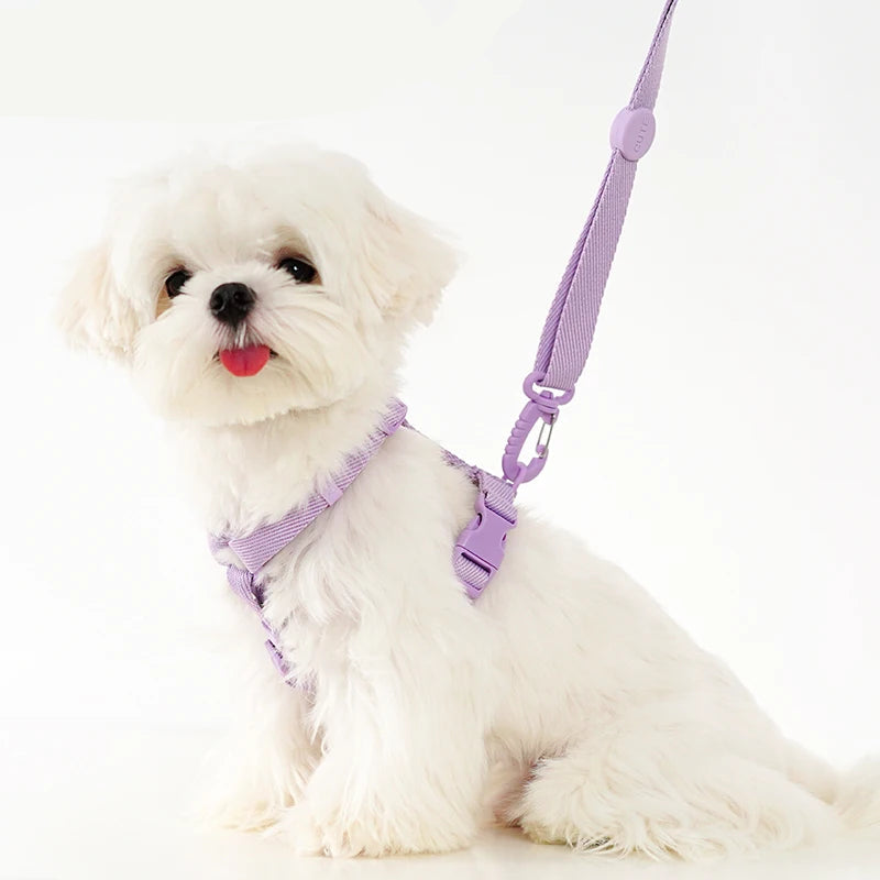 2 en 1 Harnais en Y et Laisse Pastel pour Petit Chien
