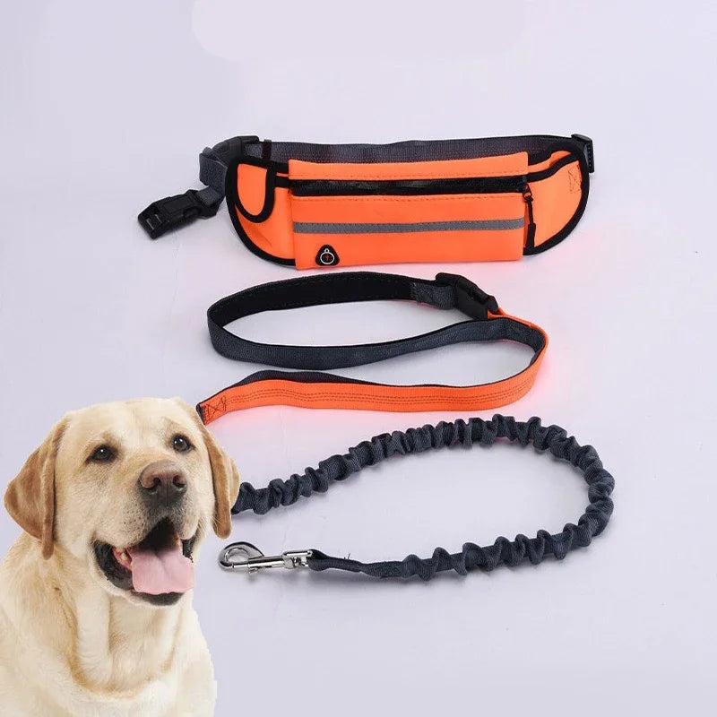 2 en 1 Laisse Mains Libres avec Sacoche Sportive pour Chien