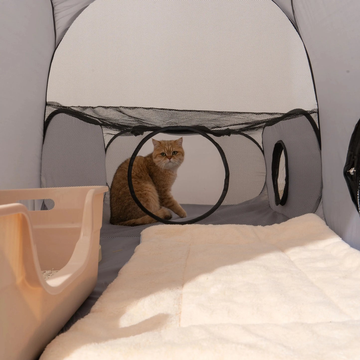 Enclos Pliable avec Tunnel pour Chats et Petits Chiens