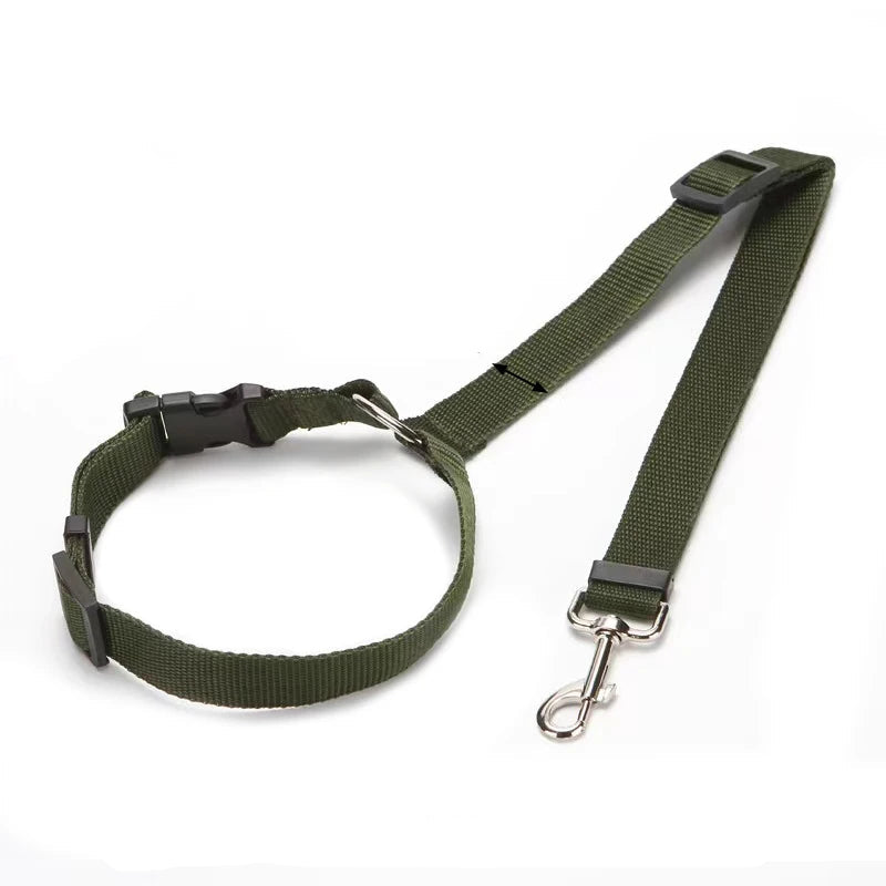 Ceinture de Sécurité & Laisse Voiture pour Chien
