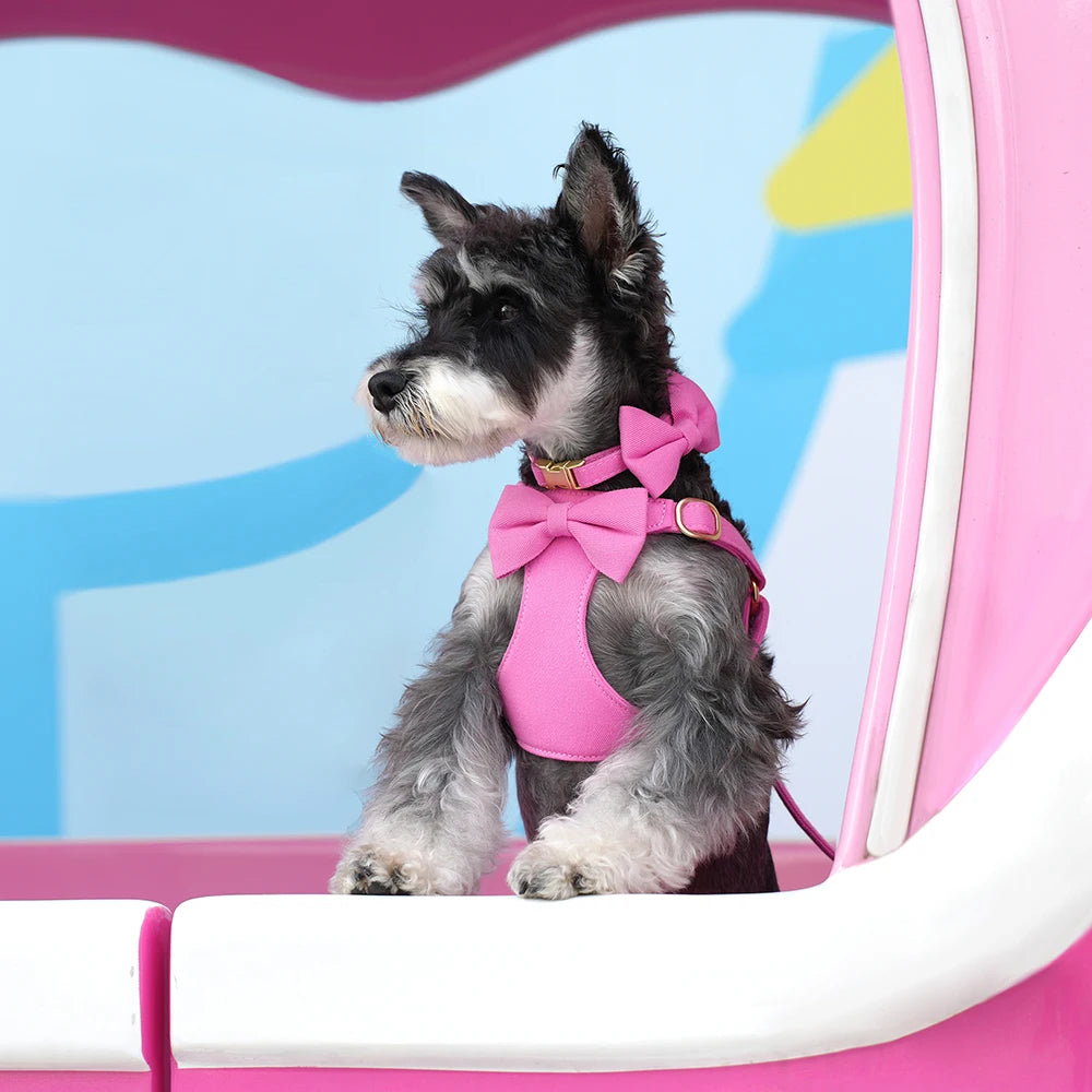 Pack 4-en-1 Harnais Nœud Papillon & accessoires pour Petit Chien