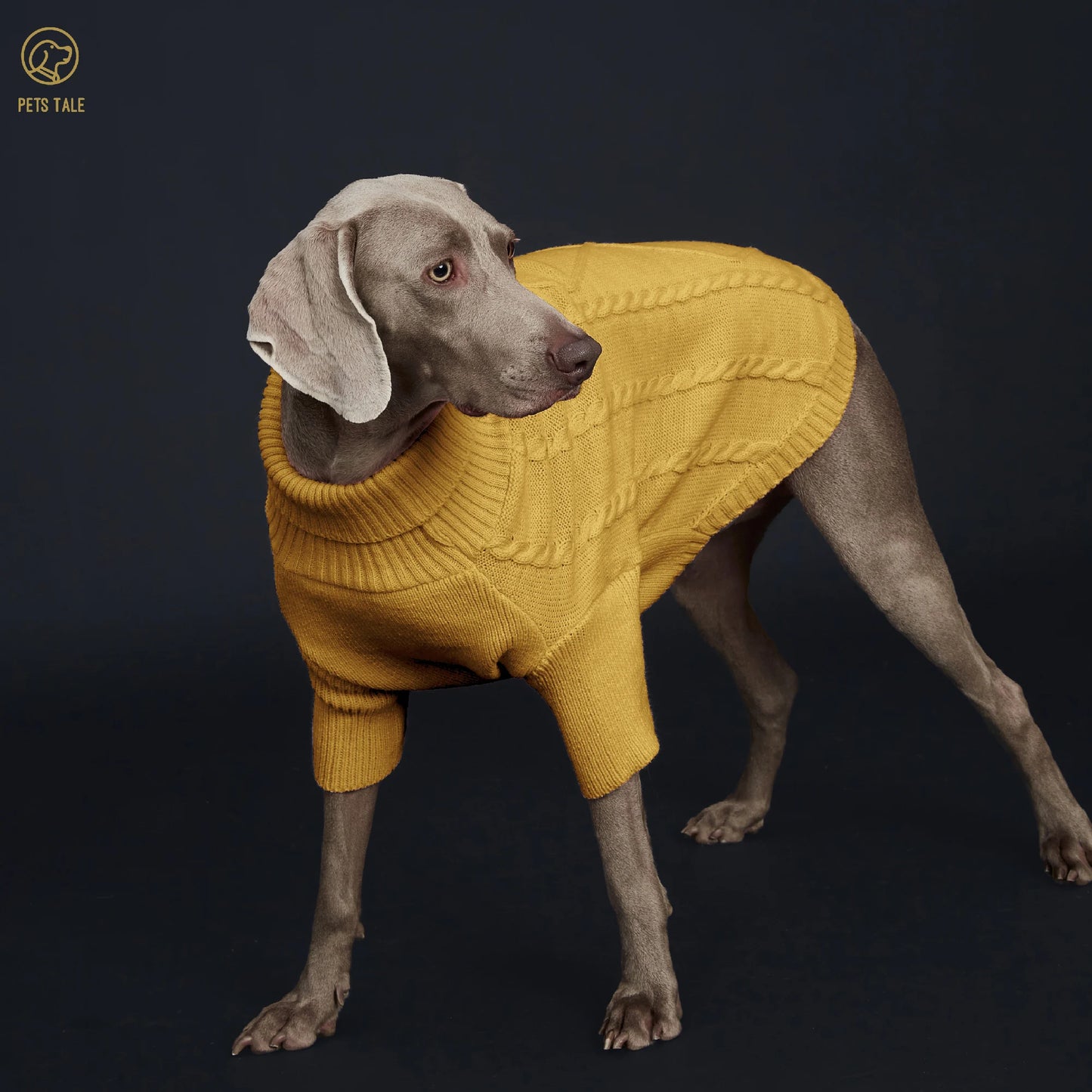 Pull Côtelé à Manches pour Chien – Tricot à Torsades et Fente Harnais