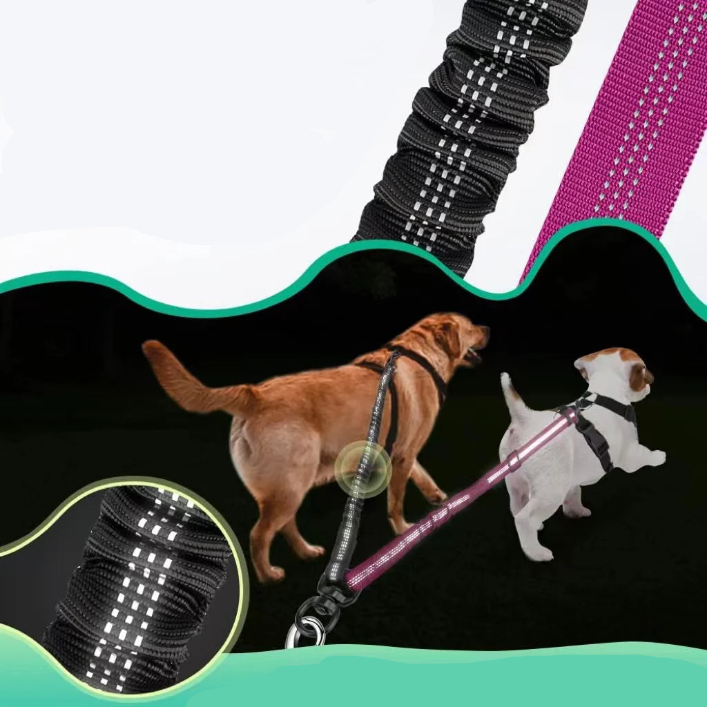 Rallonge Double Réglable & Élastique ColorDuo pour Laisse Chien