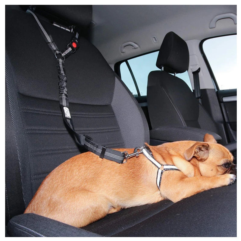 2 en 1 Ceinture de Sécurité Voiture pour Chien - Boucle & Appui-Tête