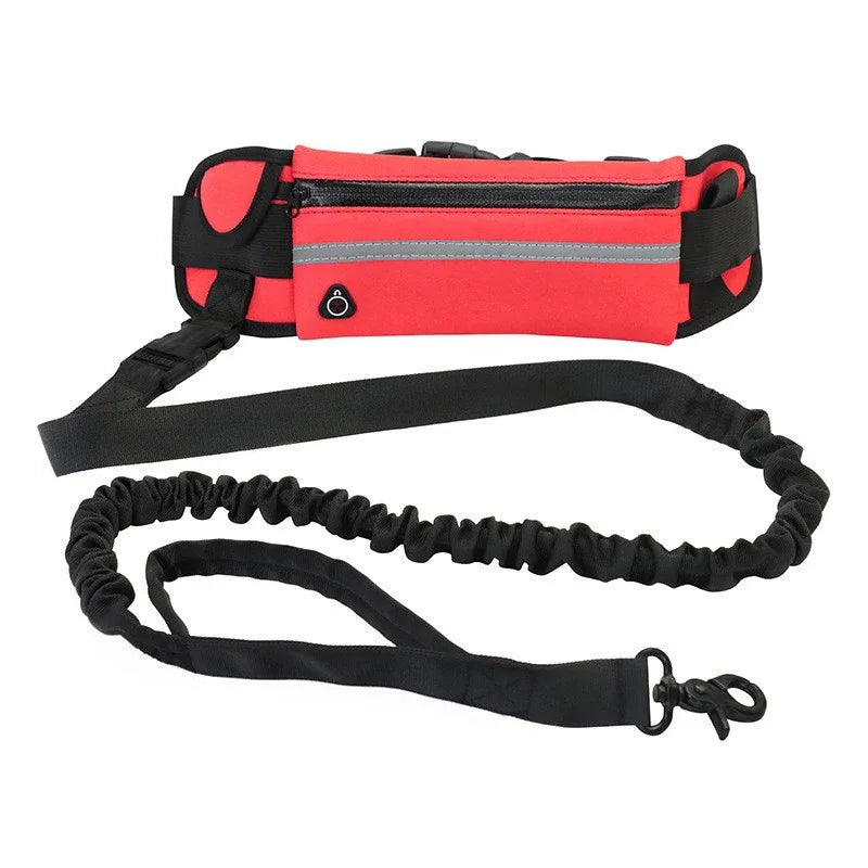 2 en 1 Laisse Mains Libres avec Sacoche Sportive pour Chien
