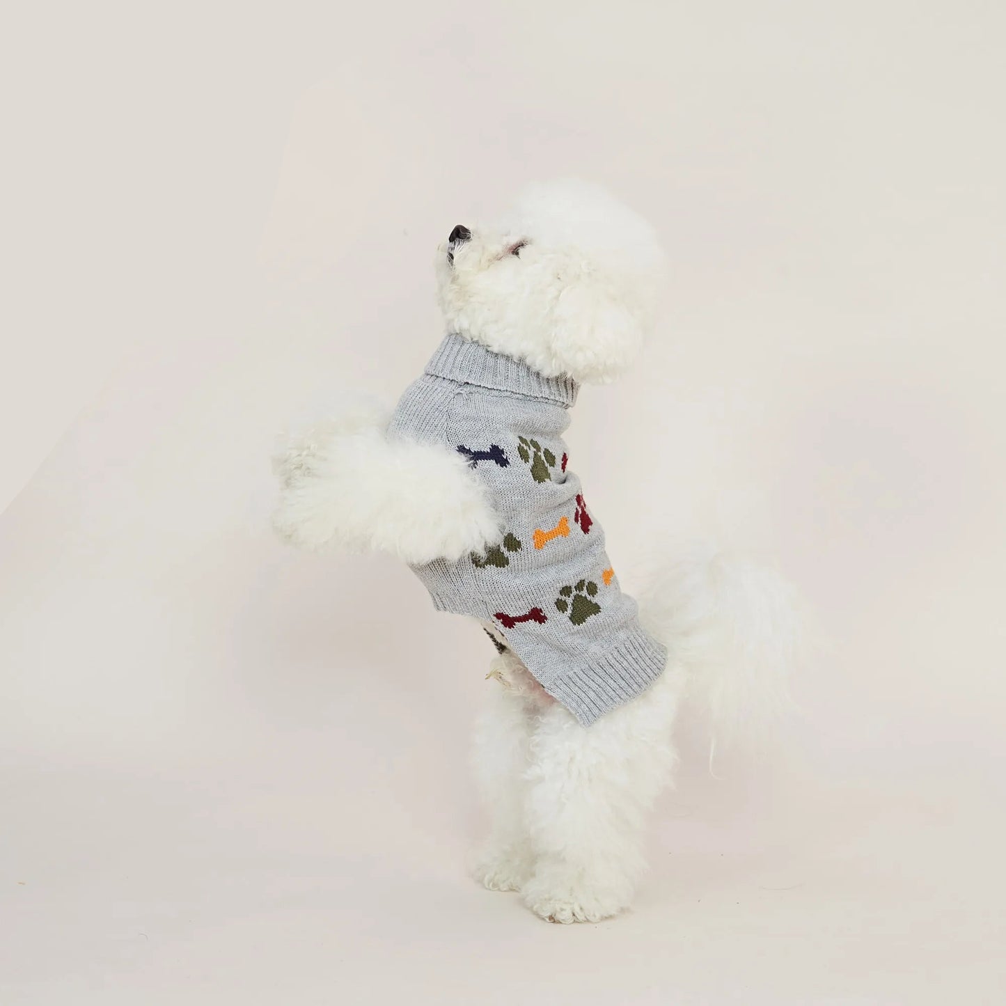 Pull Chien Motif Pattes et Os avec Trou pour Laisse