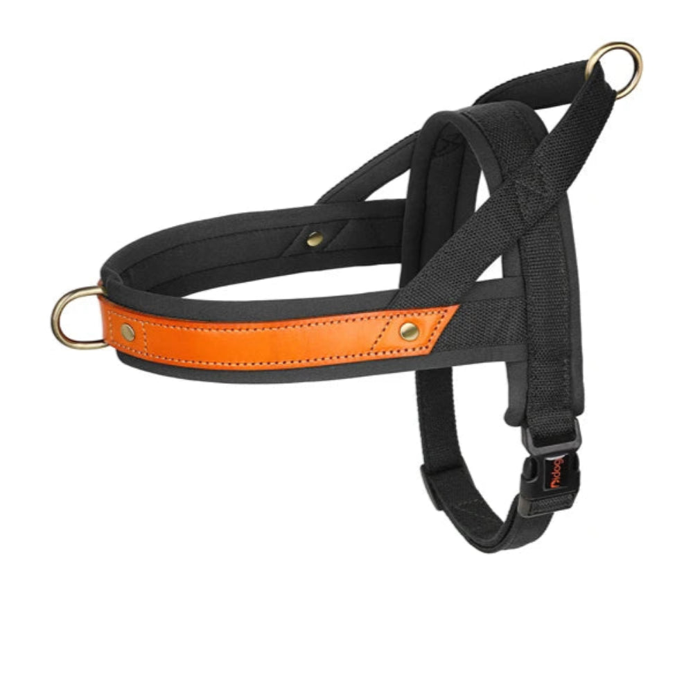 Harnais en Y Confort Anti-traction pour Chien