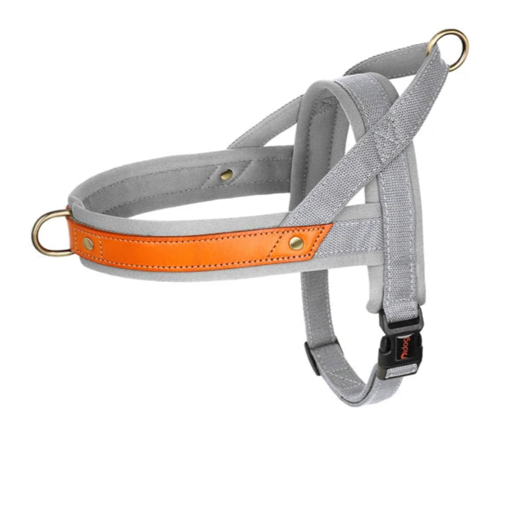 Harnais en Y Confort Anti-traction pour Chien