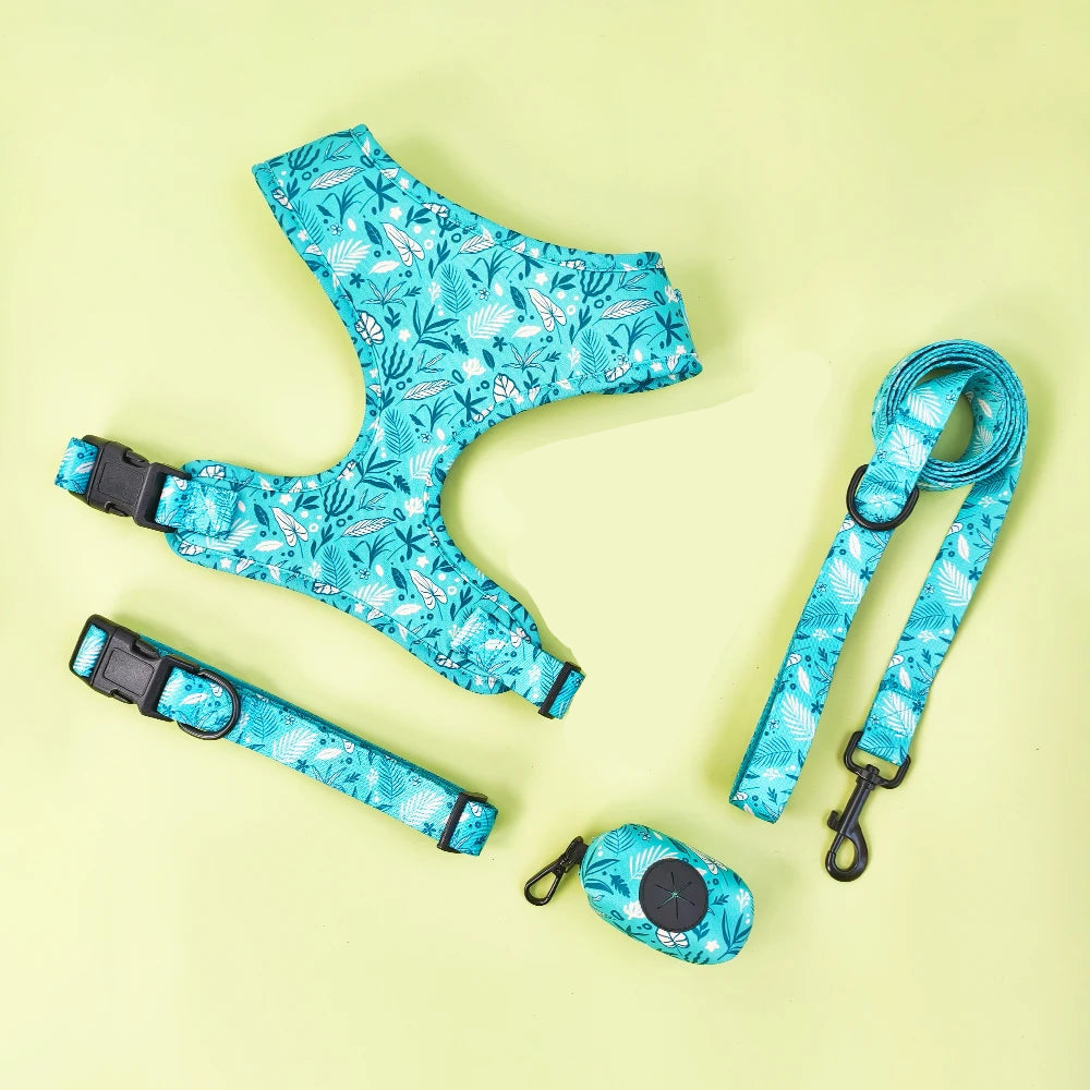 Pack 4-en-1 Harnais et accessoires pour Petit Chien