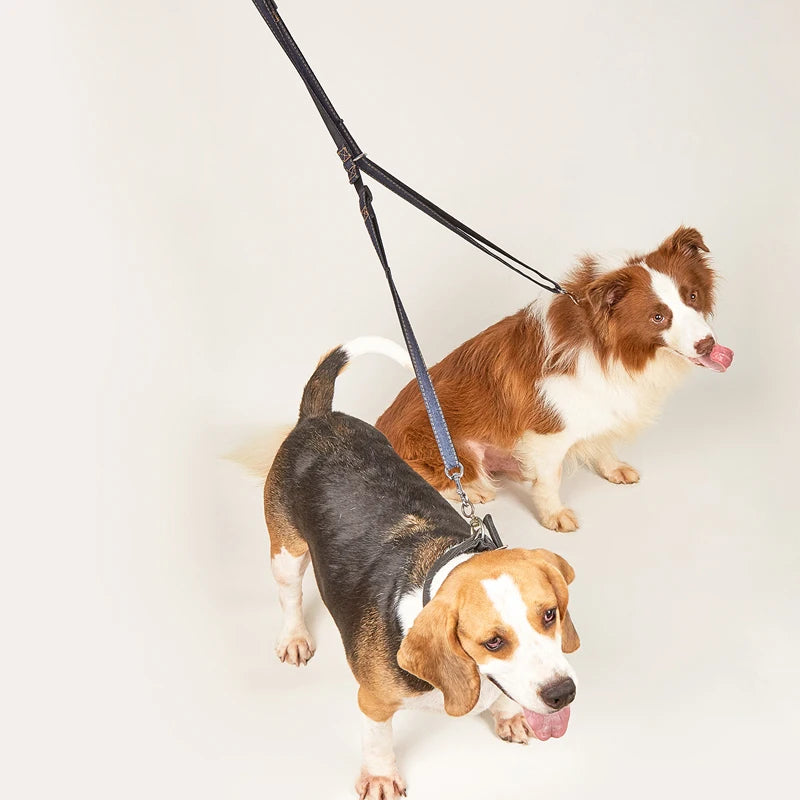 2 en 1 Laisse Multifonctions Double ou Solo Mains libre pour Chien