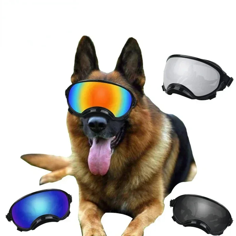 Lunettes de Ski Panoramiques pour Chiens Moyens et Grands