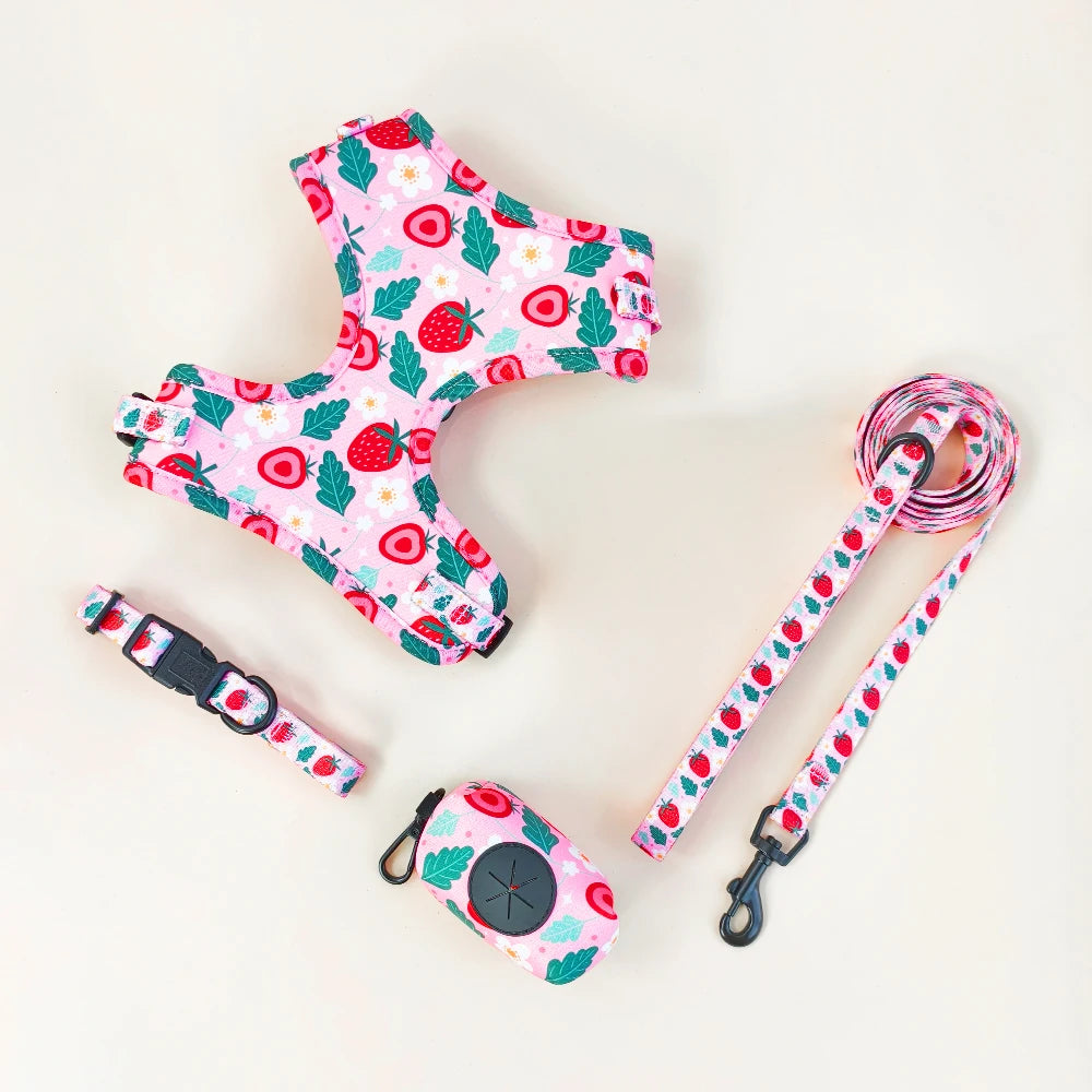 Pack 4-en-1 Harnais et accessoires pour Petit Chien
