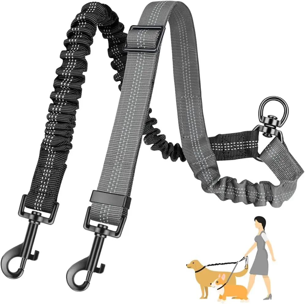 Rallonge Double Réglable & Élastique ColorDuo pour Laisse Chien