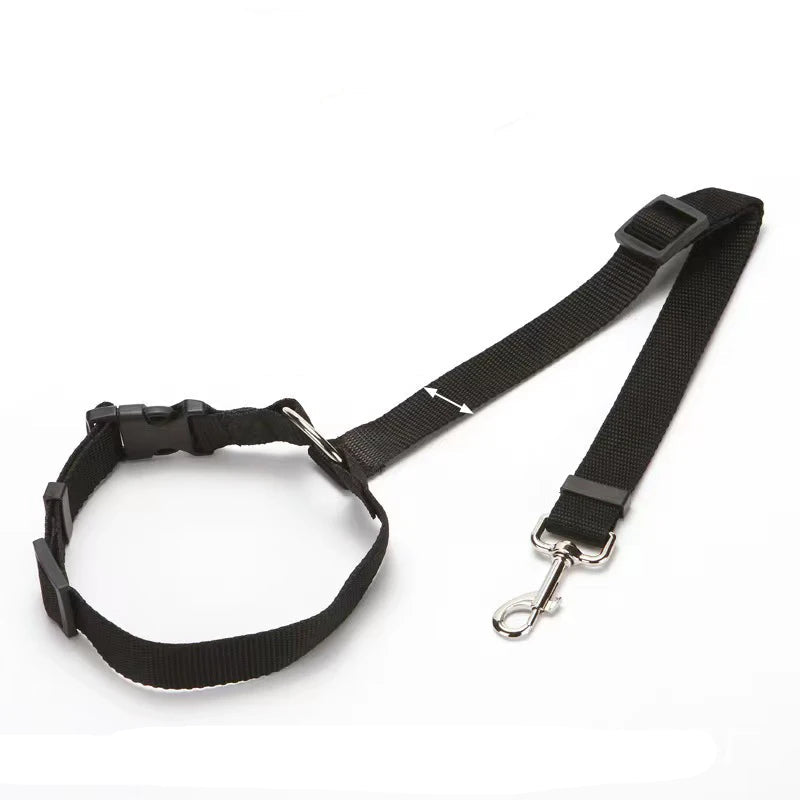 Ceinture de Sécurité & Laisse Voiture pour Chien